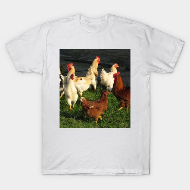 Poultry T-Shirt by Parafull